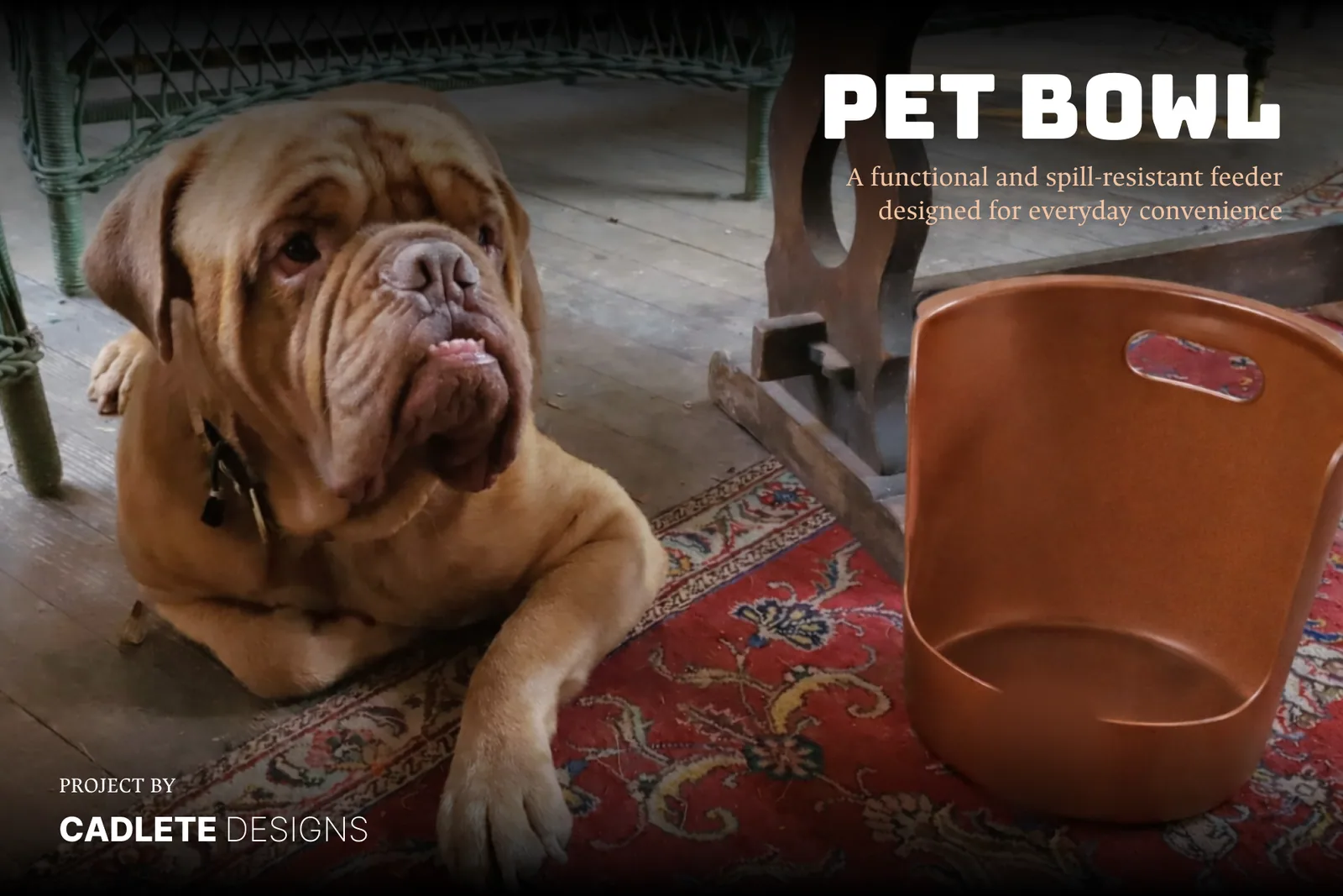 Custom Pet Feeder Bowl for Large Breed Dogs